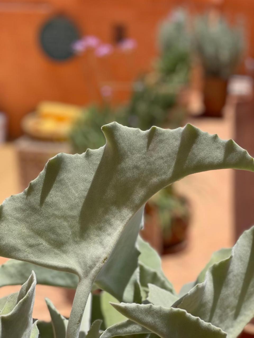 Dar El Qadi Hotel Marrakesh Bagian luar foto
