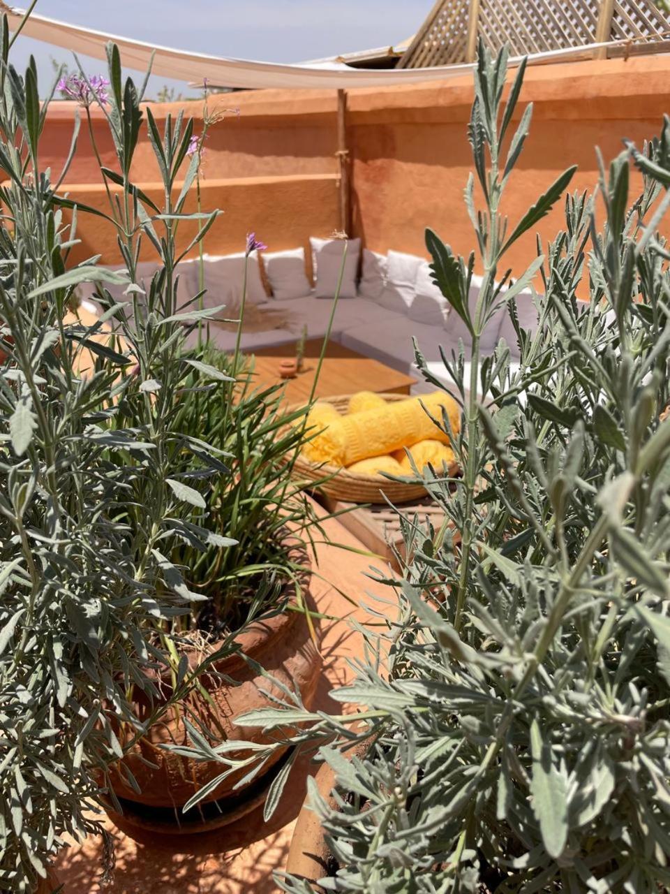 Dar El Qadi Hotel Marrakesh Bagian luar foto